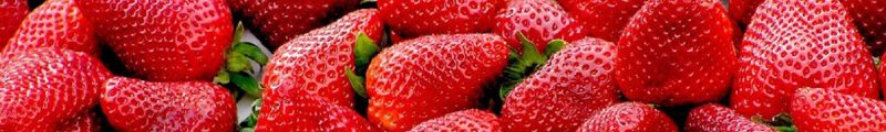 FRAGOLA