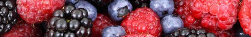 FRUTTI DI BOSCO