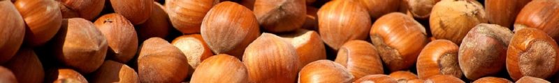 NOCCIOLA